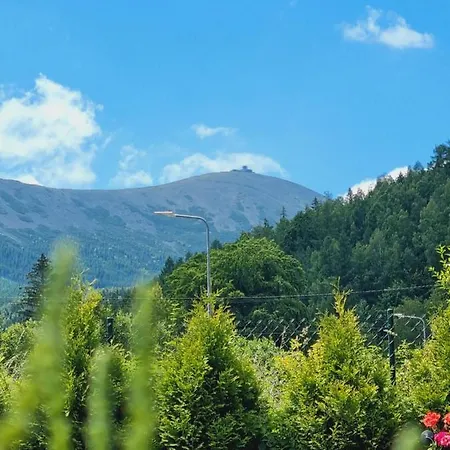 公寓 Bialy 卡尔帕奇